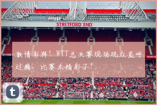 激情澎湃！WTT总决赛现场观众直呼过瘾，比赛太精彩了！
