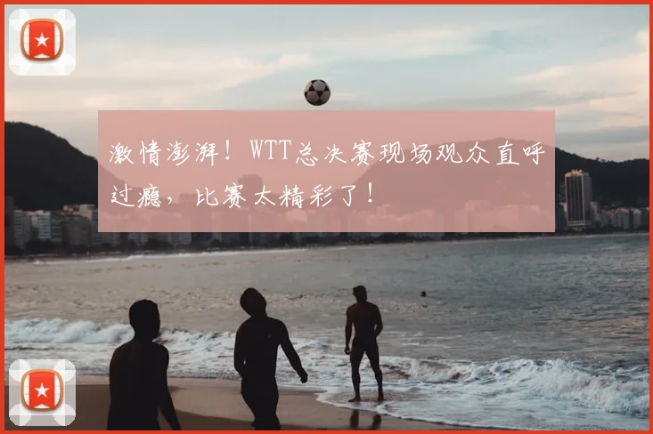 激情澎湃！WTT总决赛现场观众直呼过瘾，比赛太精彩了！
